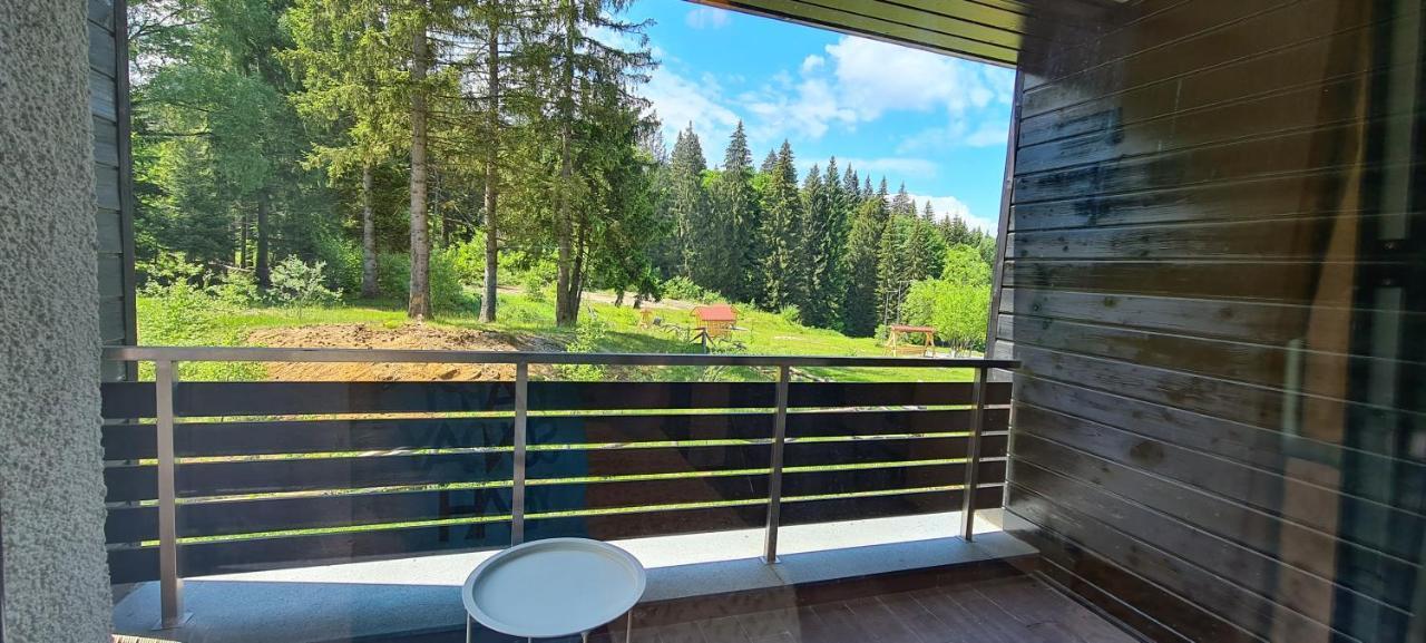 Fabulous Views Silver Mountain 3 Rooms Apartment 波亚纳布拉索夫 外观 照片