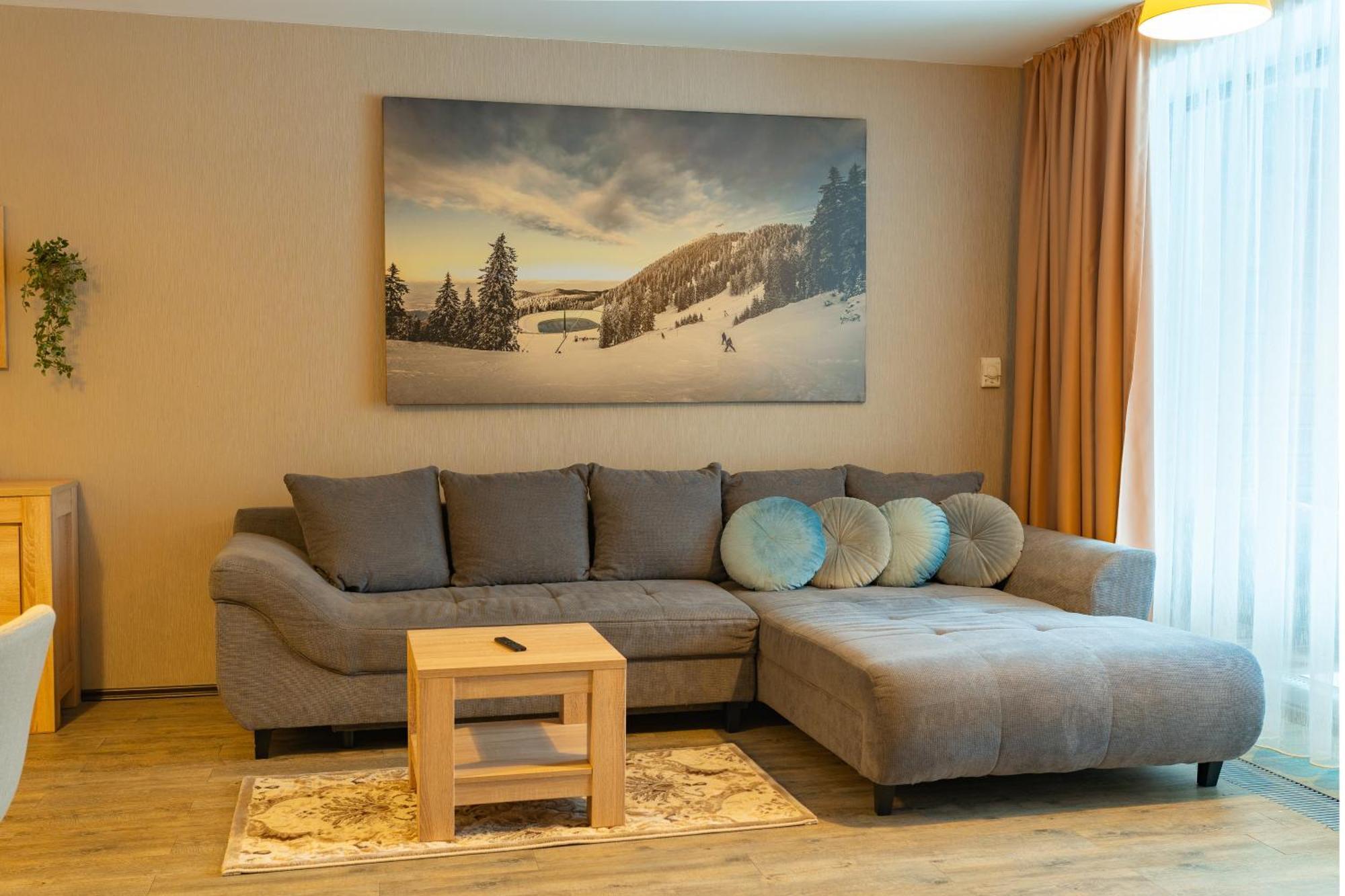 Fabulous Views Silver Mountain 3 Rooms Apartment 波亚纳布拉索夫 外观 照片